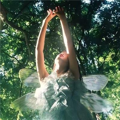 六零年代我有聚宝盆